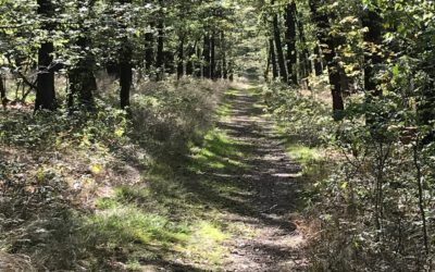 To přece musím zvládnout