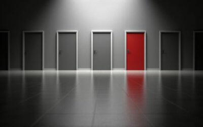 A co se bude dít dál?